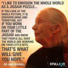 Jane Goodall Quote Jane Goodall Quotes Amazing Inspirational Quotes Quotes