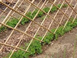 Build easy cucumber trellis, bean teepee, beautiful vine pergola, plant screen, & vegetable garden structures! Garden Trellis Screening Garden Fence Panels Gates Bamboo Trellis For Peas
