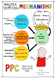 Hospice levels of care generally, medicare pays hospice agencies a daily rate for each day a patient is enrolled in the hospice benefit. What Are The Four Levels Of Hospice Care Found In The Conditions Of Participation Homes Of Heaven