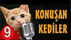 Konusan Kediler 9 1 Sezon Karisik Youtube