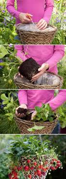 We did not find results for: Creative Diy Ideas For Growing Strawberries On Small Garden Or Yard Amazing Diy Interior Home Design