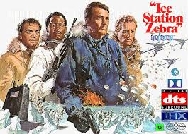 Image result for ice zebra