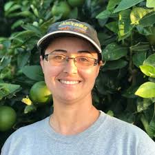 Santa Rosa Certified Arborists