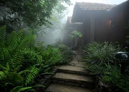 Vythiri Resort Wayanad India Resort Kerala India Honeymoon Resorts