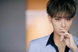 In fact, all other chinese members(lu han, kris, ztao huang) . Former Exo Member And Chinese Singer Z Tao Is Now An Esports Co Ceo One Esports