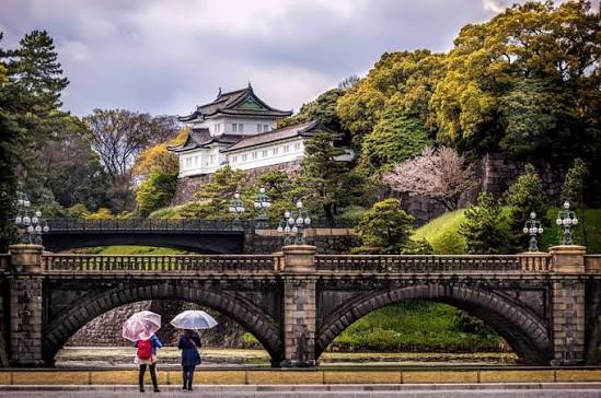 Hoàng Cung Tokyo: Ngắm Hoa đào ở Cung điện Hoàng Gia Tokyo