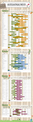 Aussaatkalender 2020 Was Mussen Sie Wann Pflanzen Garten Bepflanzen Garten Pflanzen Und Garten