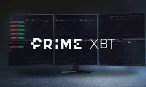 The Quick Start Guide And Review Of Prime Xbt Louis Martin