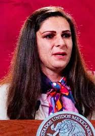 Superan subsidios de CFE al gasto en salud y seguridad