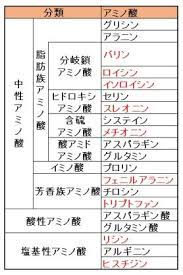 アミノ酸 yahoo 検索 画像 アミノ酸 看護ノート 健康 運動