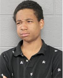 ᐅ Illinois Criminal Records 2009-2025