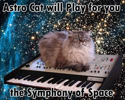 Cat On A Keyboard In Space Know Your Meme