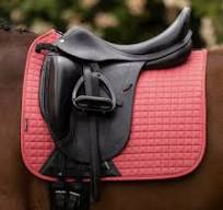 Portable Waterproof BridleHalter Bag With 3 Hook Rack, For Bridle