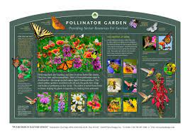 Maybe you would like to learn more about one of these? Outdoor Interpretive Signs Pollinator Garden Insects Monarch Butterfly Bee Native Flower Plant Guide Pulse Design Outdoor Interpretive Signs