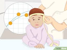In the first trimester of pregnancy, fetal length is compared to your last period date to estimate how long the baby has been developing, and determine an estimated due date. How To Measure Baby Growth With Pictures Wikihow Mom