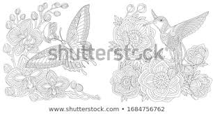 Butterflies are beautiful and elegant, a perfect subject for coloring. Bird Coloring Page Vector Illustration C Big Boy 8054046 Stockfresh