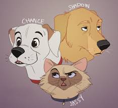 We did not find results for: Ritwell On Twitter So How About That Homeward Bound Crew