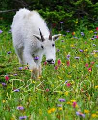 Doug and Kim Cummins