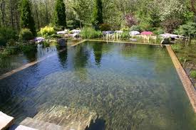 Natur Schwimmbad Designs Schwimmbad Natural Swimming Pools Natural Pool Swimming Pond