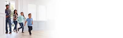 Expert recommended top 3 pest control companies in columbus, georgia. Jarrod S Affordable Wildlife Eviction