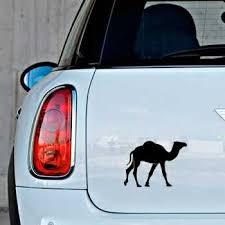 12 'what were you doing with these skeleton keys?' said mr jones. Camel Mini Sticker