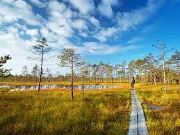 Als hauptattraktion von nida gilt die landschaftlich reizvolle lage an der haffküste der kurischen nehrung. Baltikum Litauen Lettland Estland Comfort Joy World Insight Erlebnisreisen