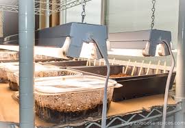 Durolux dl842n t5 4ft 2 fluorescent lamps grow lighting system. How To Build An Easy Diy Grow Light For Seedlings Caboose Spice Company