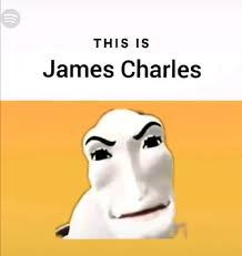 Dog wif hat pfp v3. This Is James Charles Really Funny Memes Stupid Memes Stupid Funny Memes