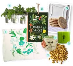 A single plant in a pot will provide you with enough rosemary to flavor your cooking and scent the. Keep Rosemary By Your Garden Gate Styling My Everyday