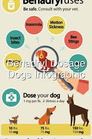 Benadryl Dosage For Dogs Infographic In 2020 Dog Infographic Benadryl Dosage Benadryl