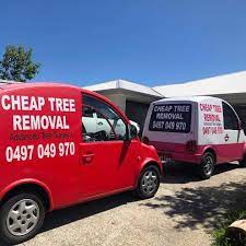 Sunshine coast tree lopping & tree removal services. Cheap Tree Removal Sunshine Coast Posts Facebook