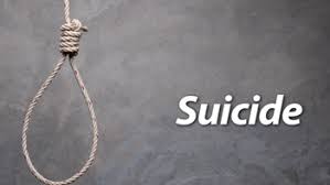 Anomie has been of great interest to emile durkheim and robert merton. Anomie Definition Theory Examples Video Lesson Transcript Study Com