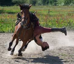 We did not find results for: Trick Riding Wikipedia