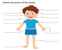What are your favorite kindergarten anchor charts to use in the classroom? Parts Of The Body Worksheets