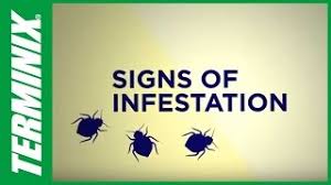 With the premium plan, you can also choose treatments for additional pests like mosquitoes, fleas and ticks. Protect Home From Bed Bugs How To Get Rid Of Bed Bugs Terminix Youtube