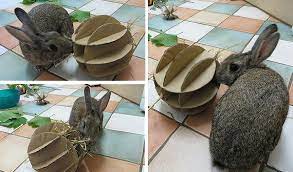 The Rabbit House Diy Bunny Toys Pet Rabbit Pet Bunny