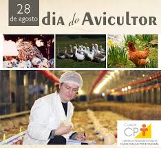 Resultado de imagem para 28 DE AGOSTO É DIA DE