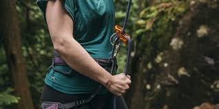 Putting the brakes on the walrus. Belay Devices How To Choose Rei Co Op