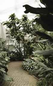 Optimal areas for placement of butterfly houses can be on the outskirts of property where there is likely to butterflies seek weeds as host plants just the same as they would plants from your garden. Butterfly House At Luisenpark In Mannheim Butterfly House
