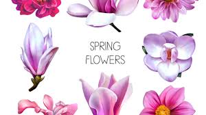 Nomi di fiori dalla a alla z. Il Nome Dei Fiori Blog Floraqueen It