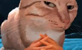 Photos by Diego barajas (@diegobarajasv) · June 28, 2025