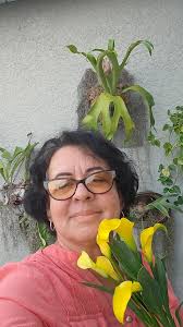 Plantas ornamentales Cuba