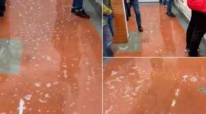 VIDEO: Manchester United fans walking through toilet 'flooded with urine' at Old Trafford| All Football