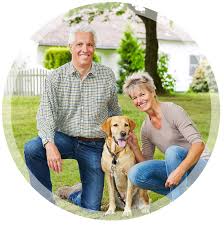 Labrador retriever puppy for sale in winlock, wa, usa. Lrrof Labrador Retriever Rescue Of Florida