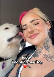 Adopting our Doggo Bolt ❤️⚡️🐾 We’re absolutely over the moon. He is  perfect! @Many Tears Animal Rescue🐾 #manytearsanimalrescue #adoptadog  #akita #dogsoftiktok