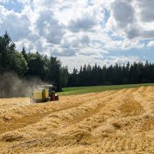 Recuperer Un Terrain Agricole Loue Sans Bail Guide Complet