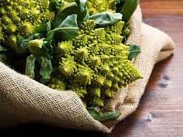 Apr 29, 2021 · brassica romanesco is a fun vegetable in the same family as cauliflower and cabbage. Romanesco Warenkunde