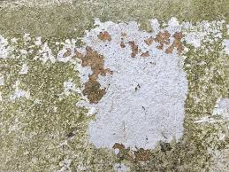 May 01, 2020 · use bleach and laundry detergent to remove mildew. Best Way To Remove Paint From Concrete Porch Diy Home Improvement Forum