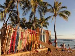 Tropical Surf Beach Wallpaper Hawaii Beaches Surfing Beach Wallpaper