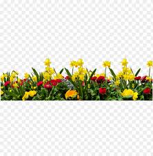 See more ideas about flower garden, garden, outdoor gardens. Download Flower Garden In Transparent Background Clipart Nature With Birds And Flower Png Image With Transparent Background Toppng
